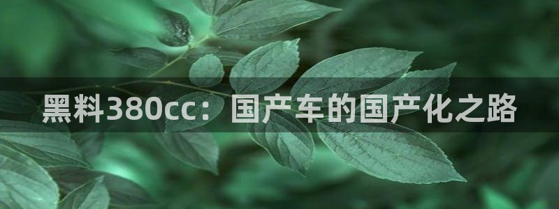 51吃瓜今日大瓜必吃大瓜：黑料380cc：国产车的国产化之路