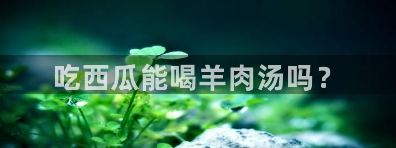 黑料软件：吃西瓜能喝羊肉汤吗？