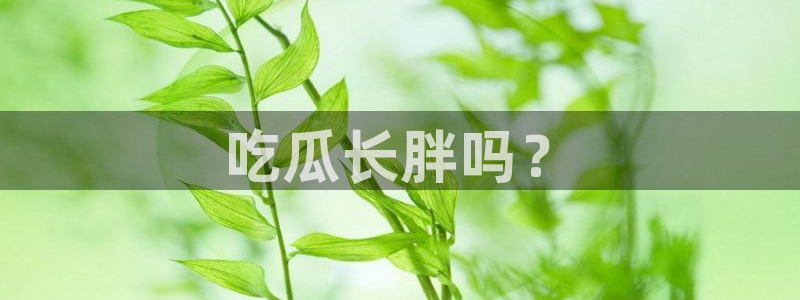 豆瓣自由吃瓜基地：吃瓜长胖吗？