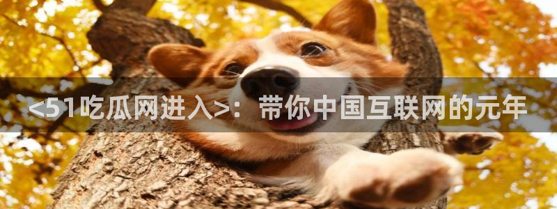 51吃瓜最新官网是多少：<51吃瓜网进入>：带你中国互联网的元年