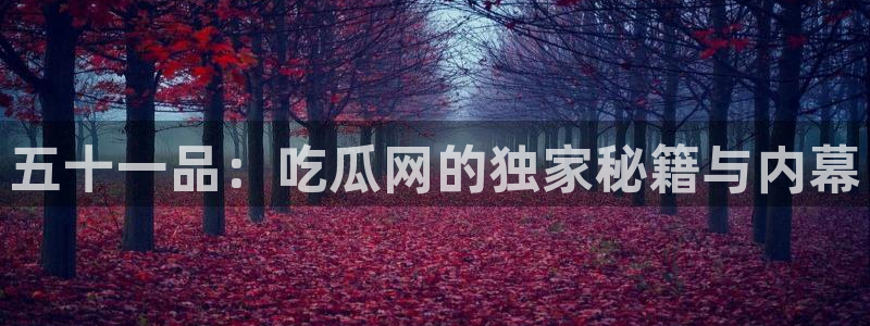 51吃瓜网今日榜单：五十一品：吃瓜网的独家秘籍与内幕