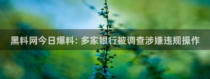 51吃瓜今日吃瓜入口：黑料网今日爆料: 多家银行被调查涉嫌违规操作