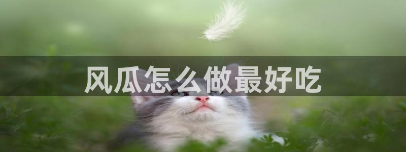 24小时吃瓜不间断：风瓜怎么做最好吃