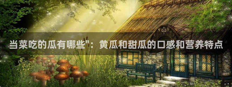 911今日必吃大瓜：当菜吃的瓜有哪些\